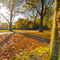 'London, Hyde Park in Autumn' by Alan Copson
