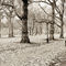 'London, Green Park in Autumn' von Alan Copson