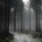 'Wald - Winter - Nebel - Poster' by Jens Berger