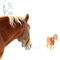 'horse // warmth' by Eva Stadler
