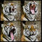 'Sumatran Tiger' by Miguel Costa