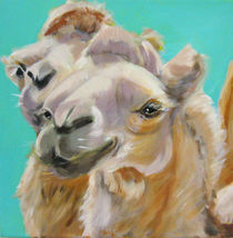 "Ihr Kamele!" by Gabriela Popp