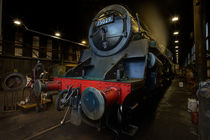 The Green Knight - NYMR by Martin Williams