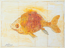 spiralfisch by frank  lennartz