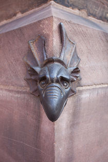 Metal Dragon Head on Notre-Dame by safaribears