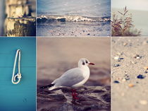 Beach Impressions  Collage°2 by syoung-photography