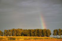 Beginn des Regenbogen - The beginning of the rainbow by ropo13