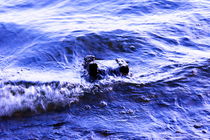 Violet Sea Water von Christian Behring