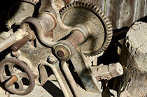 Old and rusty agricultural machine by Leopold Brix