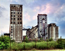 Abandoned Grain Silo by Tammy  Wetzel