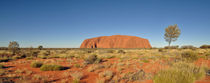 Uluru (Ayers Rock) von markus-photo