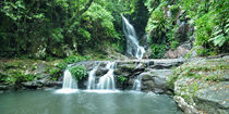 Wasserfall Dschungel von markus-photo