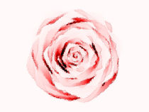 Fragrant Red Rose von tiaeitsch