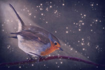 The little robin at the night von AD DESIGN Photo + PhotoArt