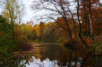 Herbst am See von AD DESIGN Photo + PhotoArt