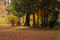 Herbsttag by AD DESIGN Photo + PhotoArt