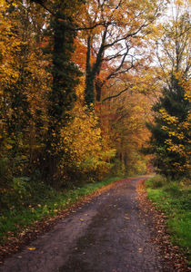 Herbstimpression von AD DESIGN Photo + PhotoArt
