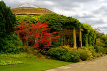 The Sun Pavilion by Colin Metcalf
