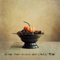 autumn by Priska  Wettstein