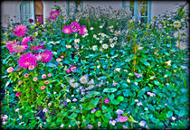 Fences and flowers nr.1 von Leopold Brix