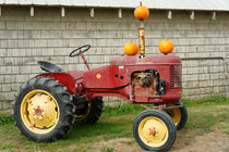 OLD TRACOR WITH PUMPKINS by John Mitchell