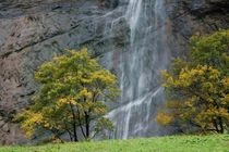 Wasserfall by Bettina Schnittert