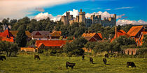 Arundel Castle, Red Rooftops and Cows  by Chris Lord