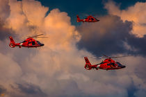 Coast Guard Helicopter Patrol by Chris Lord