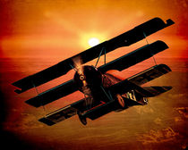 The Bloody Red Baron's Fokker at Sunset by Chris Lord