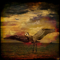 Herons by Chris Lord