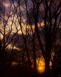 Winter Sunrise von Chris Lord