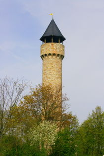 Wartburgturm Freimersheim,Deutschland  Wartburg tower Freimersheim, Germany by hadot