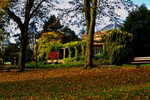 The Sun Pavilion in Autumn by Colin Metcalf