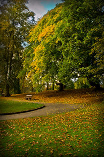 Autumn at Valley Gardens von Colin Metcalf