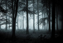 The Fog by ian hufton
