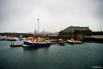 Keflavik seaport - Iceland by Federico C.