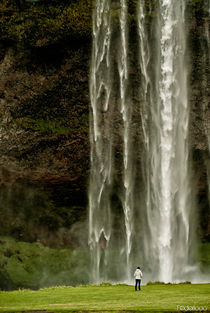 Icelandic waterfall by Federico C.