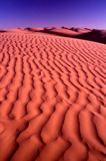 Dunes von Steve Outram