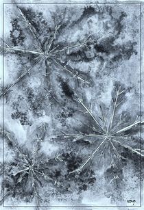 Cristalli di ghiaccio II by dieroteiris