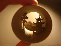 Roll China (Chine) by Anastassia Elias