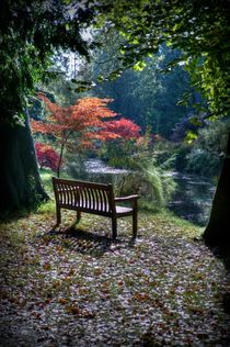 The Meditation Seat by Colin Metcalf