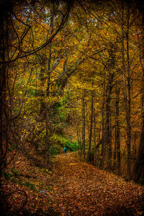 Autumn Trails by Chris Lord