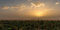 Date Palm Sunrise by Russell Bevan Photography