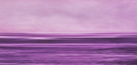 Purple-sea1