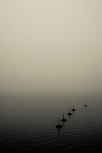 Morning mist by the sea von Lars Hallstrom