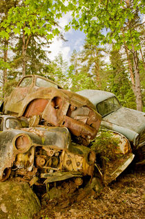 Dead cars by Lars Hallstrom