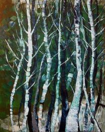 Winter Trees (Winter Bäume) von Myungja Anna Koh