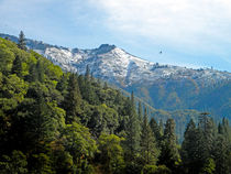 Sierra First Snow by Frank Wilson