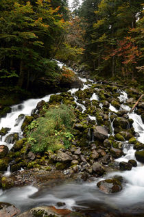 Uelhs deth Joèu Falls by RicardMN Photography