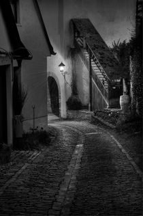 Nachtspaziergang # 2 by Irmgard Sell
